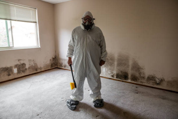 Best Crawl Space Mold Removal  in Honesdale, PA